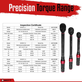 WETT carry case keeps torque wrenches organized for transport and storage.