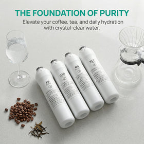 WFilt ROPOT CTO filter reduces chlorine taste and odor.