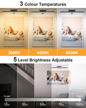 WILLED 3W light offers 3000K, 4500K, 6000K color temperatures for mood lighting.