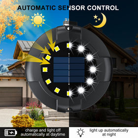WILUX solar pathway lights in garden setup enhance ambiance