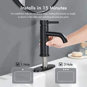 WINKEAR faucet supports one or three-hole installation on diverse sinks