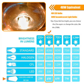 winsaLED versatile bulbs fit ceiling fans and pendants