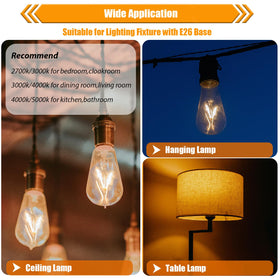 winsaLED clear glass shade shows classic Edison style illumination