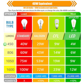 winsaLED clear ST19 bulbs suit ceiling fans, pendants, vanity lights, and more