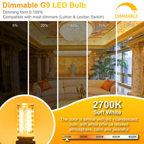 Winshine chandelier bulb for crystal fixtures with long, low-heat performance.