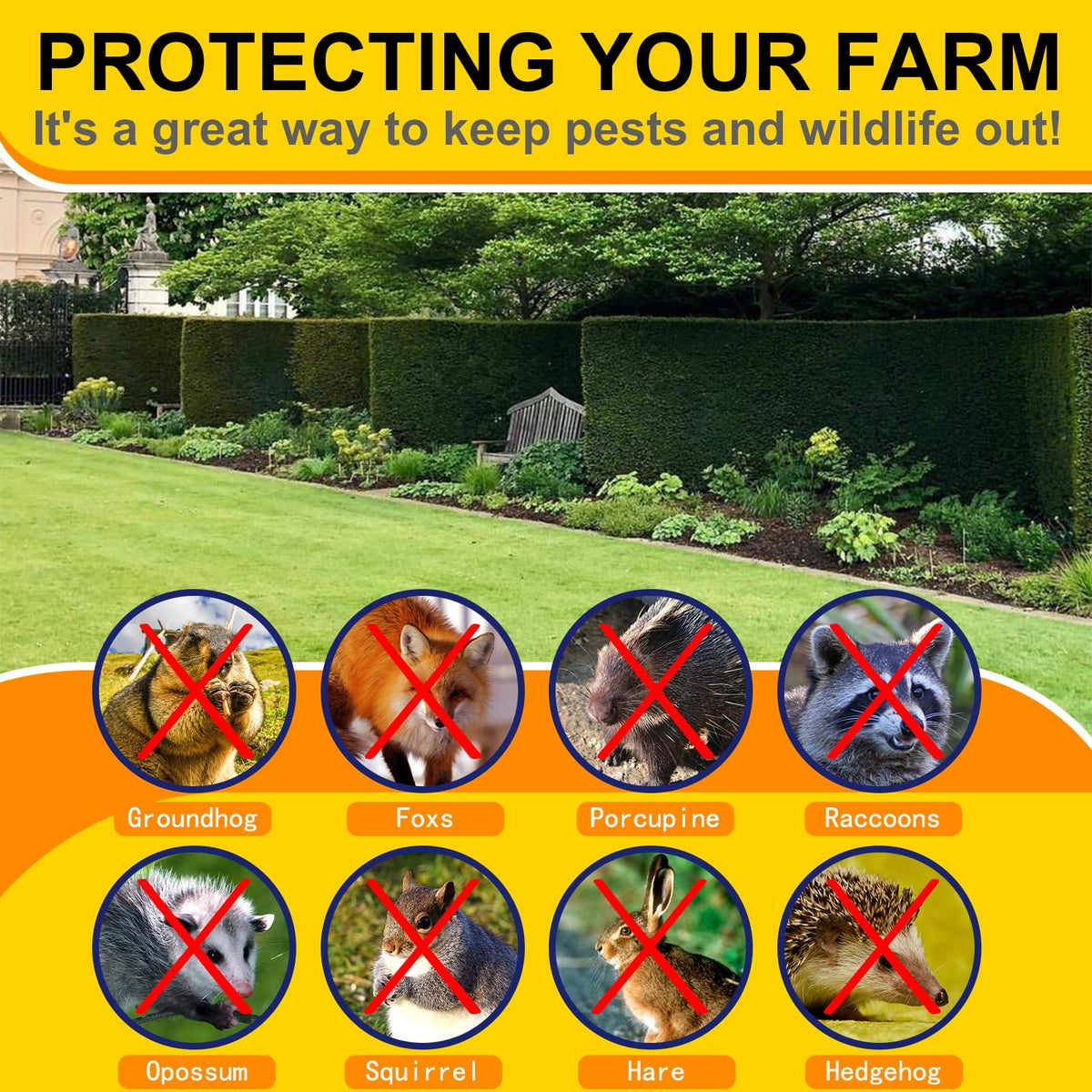Wirewonders gopher-wire garden use keeps soil access controlled while maintaining light and airflow.