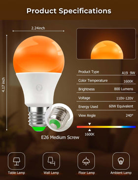 Wivety four-pack amber sleep bulbs ready for shared spaces