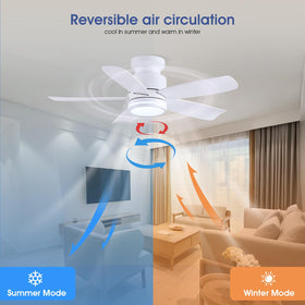 Wiviniya forward/reverse rotation feature for seasonal airflow.