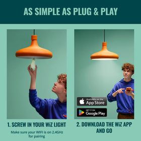 Dynamic color cycling enhances daily routines with color options