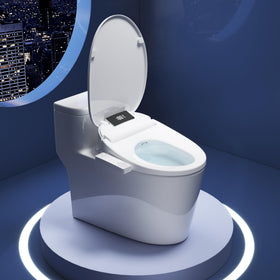 WLJBIDET display-screen overview highlighting intuitive controls for easy setup.
