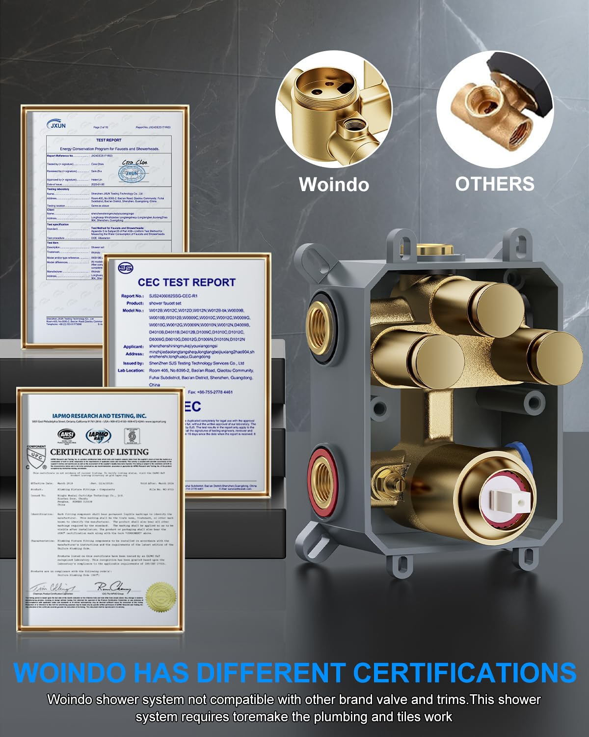 Woindo dual shower heads in use illustrate versatile, simultaneous showering.