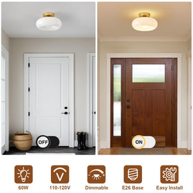 WOKNOS 11-inch diameter light ideal for entryways and hallways