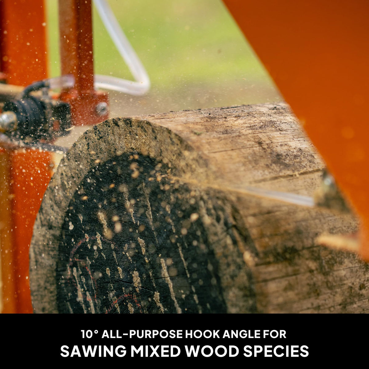 Wood-Mizer 10° hook-angle blades designed for mixed-wood cutting performance.