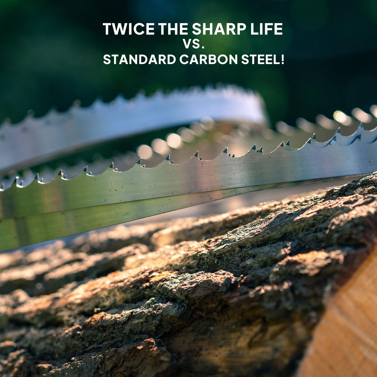 Wood-Mizer 7/8in tooth spacing detail for smooth feeding and clean results.
