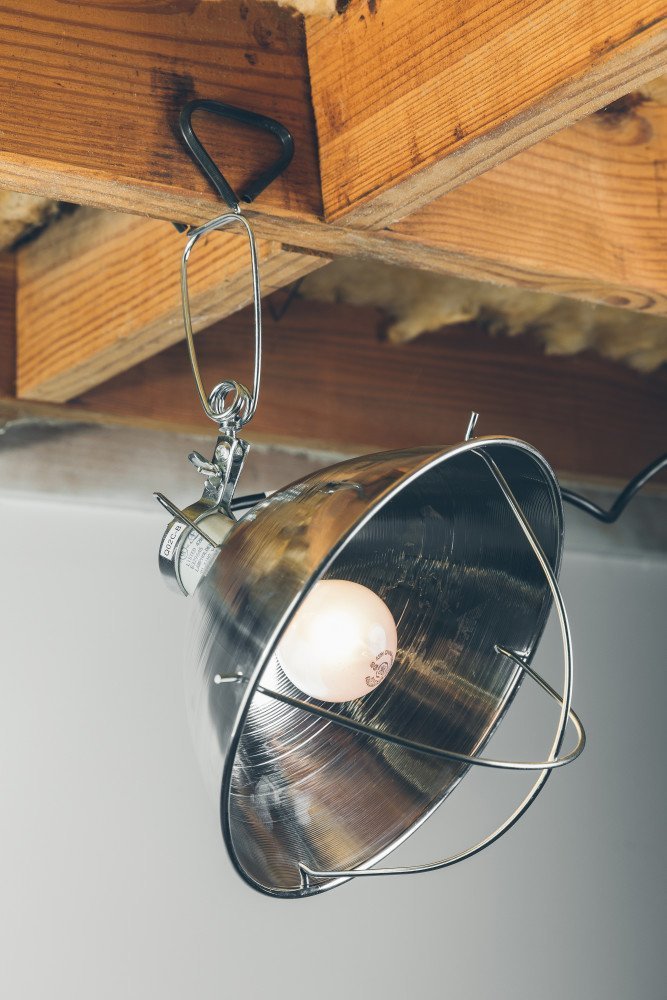 Woods clamp lamp offers a 6-foot cord for flexible indoor placement.