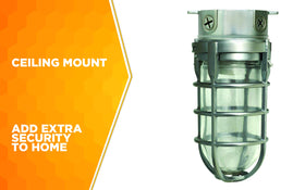 Woods L1706 tempered-glass lens for durable protection against elements.