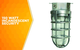 Woods L1706 weather-tight all-metal cage shields the light from impact.