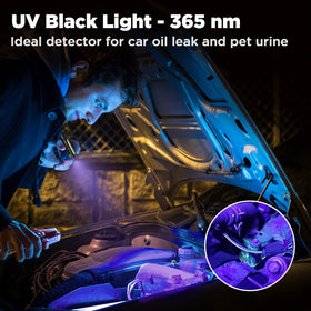 WORKPRO UV 365nm beam highlights automotive leaks and stains clearly.
