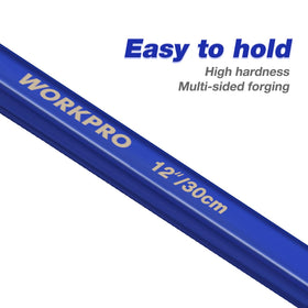 WORKPRO hex shaft provides a secure grip for precise prying.