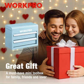 WORKPRO Metal Mini Tool Box compact toolbox for versatile storage in any space