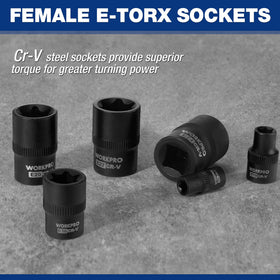 WORKPRO Torx Plus TP8–TP60 sockets expand repair options.