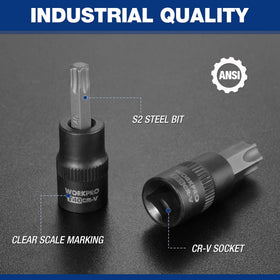 WORKPRO Tamper TT6–TT70 sockets support security-fastener work.