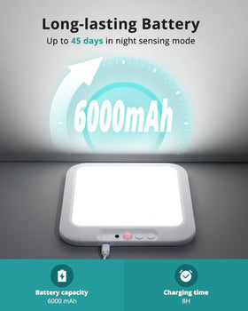wowatt color temperature options from 3000K to 6500K for mood.