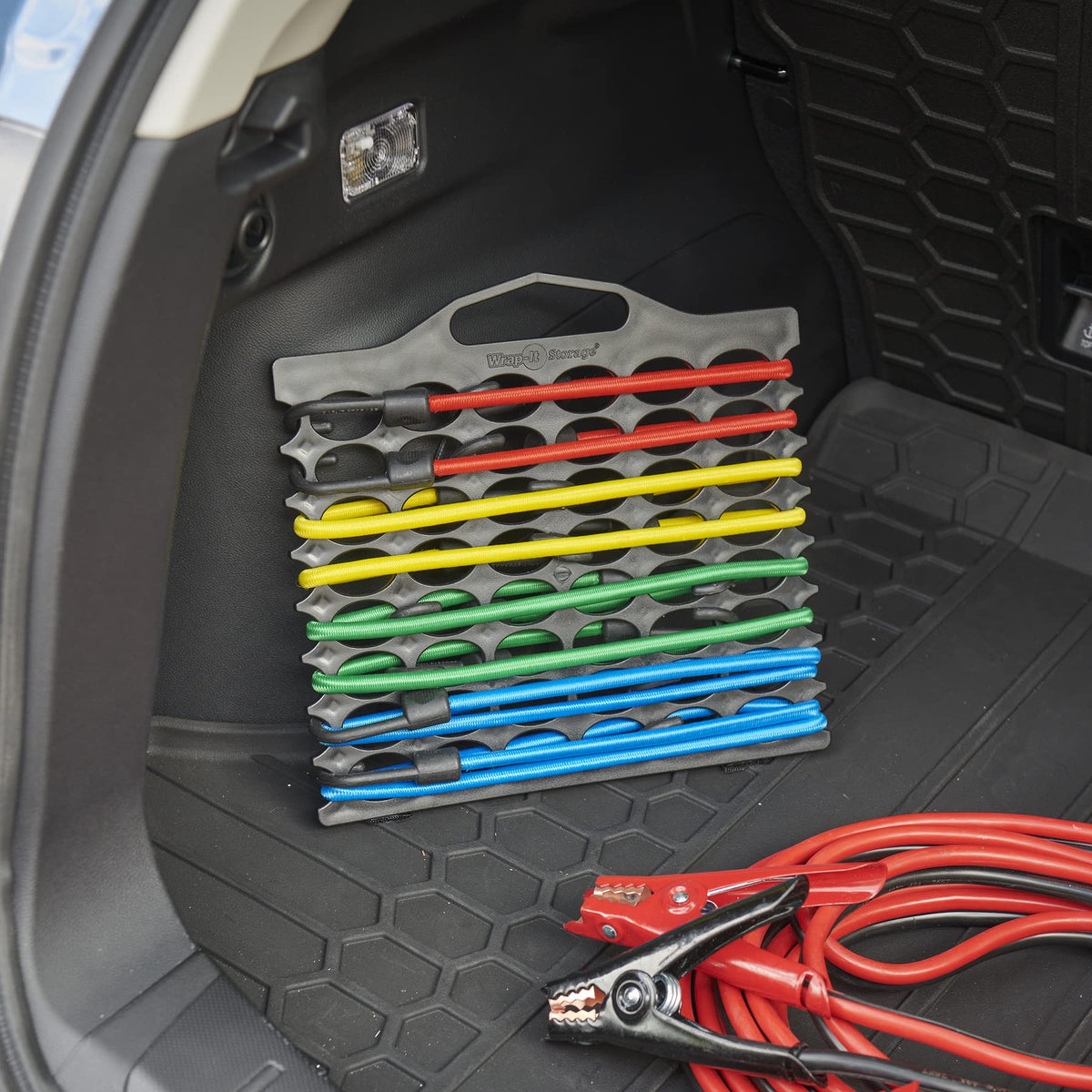 Wrap-It Storage Bungee Buddy tarp-clips-storage organizes accessories for quick projects.