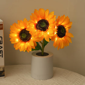 WSYEAR night light perfect for bedrooms and living spaces.