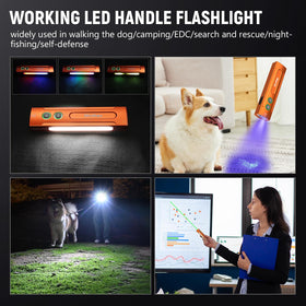 Wurkkos HD01PRO magnetic base enables hands-free mounting during tasks.