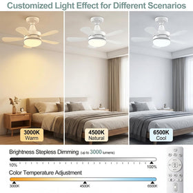 WZZIW 3-color temperature lighting supports mood and task versatility.