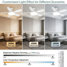 WZZIW 3 color temperatures (3000K-6500K) for customizable ambiance.
