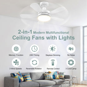 WZZIW remote control highlights wireless convenience for fan and light.