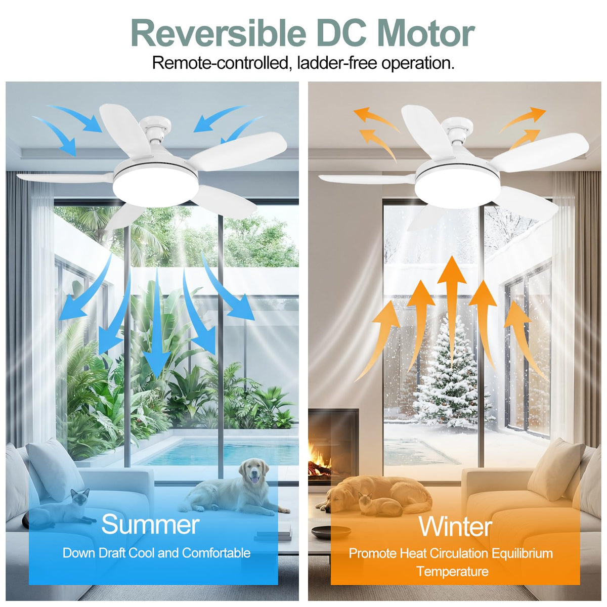 WZZIW reversible motor for year-round comfort.