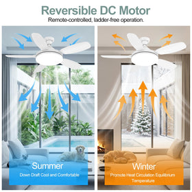 WZZIW reversible motor for year-round comfort.