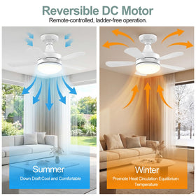 WZZIW stepless dimming lets you fine tune brightness and warmth.