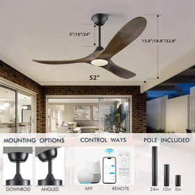 XCWIIE six-speed fan with dimmable lights and timers.