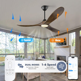 XCWIIE remote, app, and Alexa control for easy operation.