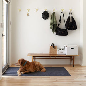 XHIPY gold bow wall hook suitable for kids room storage.