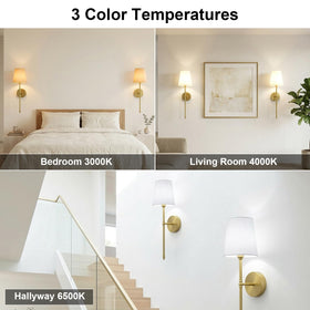 XILLUMI CORE rechargeable magnetic bulb for easy charging and placement.