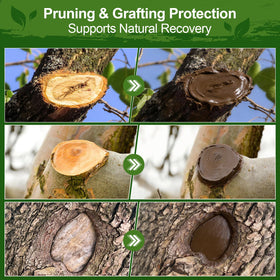 Xiufudaw Tree Wound Sealer brush-in-use enables precise application on pruning cuts.
