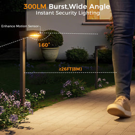 XMCOSY+ landscape lighting enhances driveways and garden borders with reliable light.