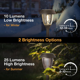 LED filament warm white glow blends with outdoor landscape