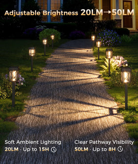 XMCOSY+ cool white 6200K option for bright safety along sidewalks