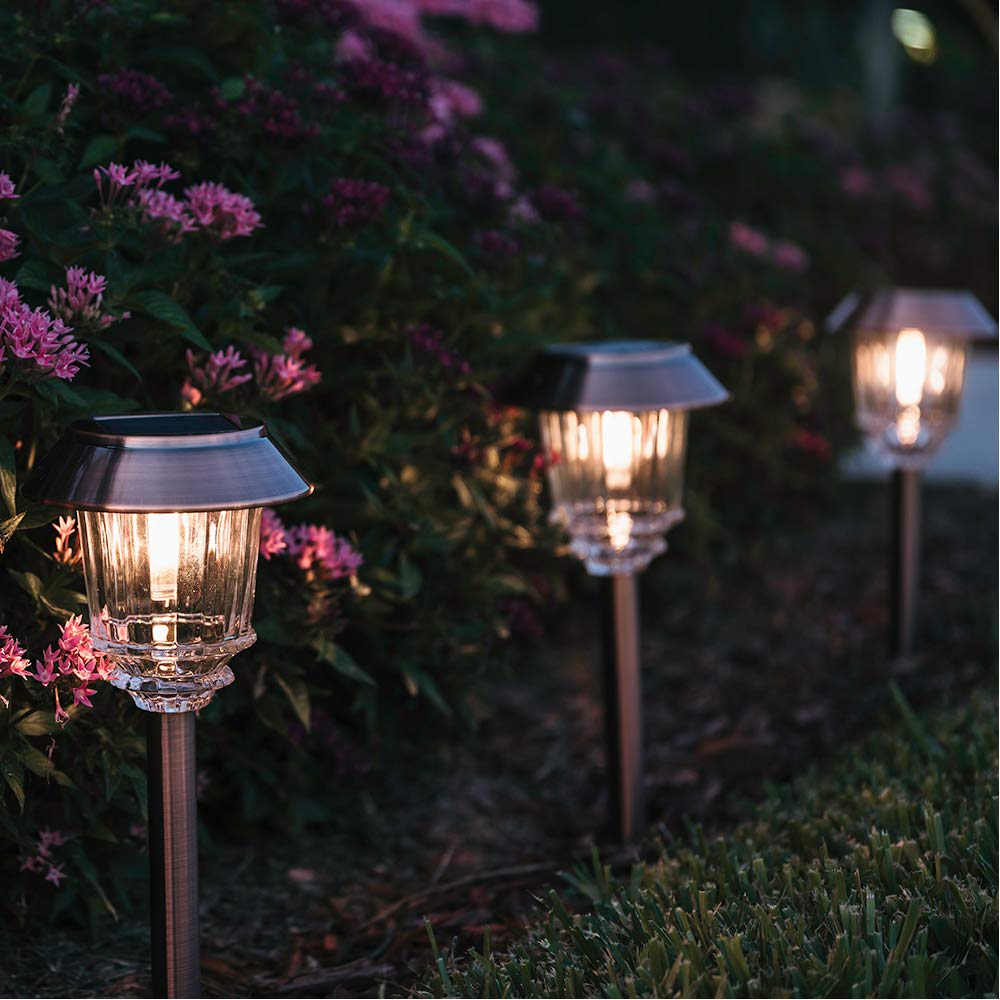 XMCOSY+ night-scene reveals gentle, steady light along a garden border.