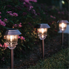 XMCOSY+ night-scene reveals gentle, steady light along a garden border.