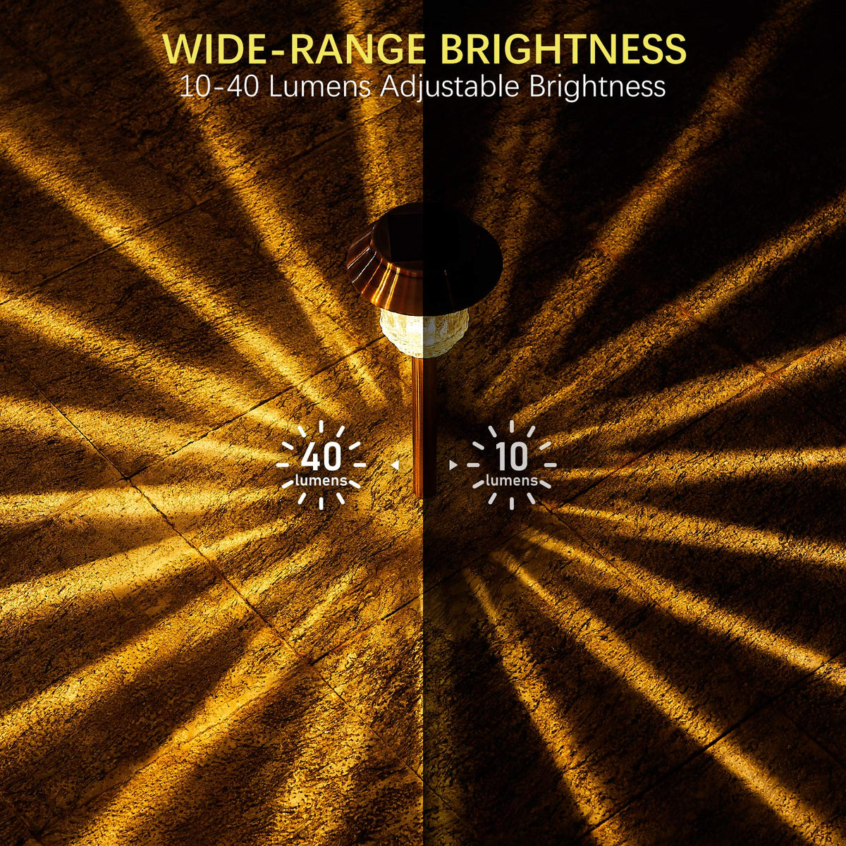 XMCOSY+ pathway-illuminated scene highlights a safe and welcoming nighttime path.