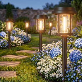 XMCOSY+ solar pathway lights 6-pack illuminate paths with enhanced visibility.