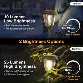 XMCOSY+ stainless steel bronze finish highlights rugged, long-lasting exterior lighting