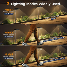 XMCOSY+ tool-free stake installation lets you set up quickly in lawns.